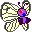 pokebutterfly